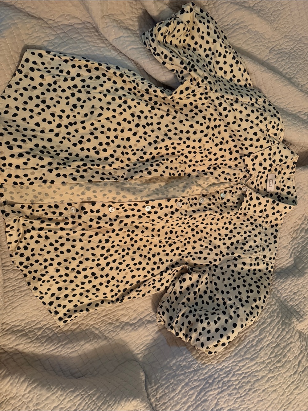 AYR Cream Blouse with Black Polka Dot Print
